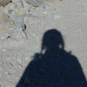 SouthernSierra 865 : SouthernSierra